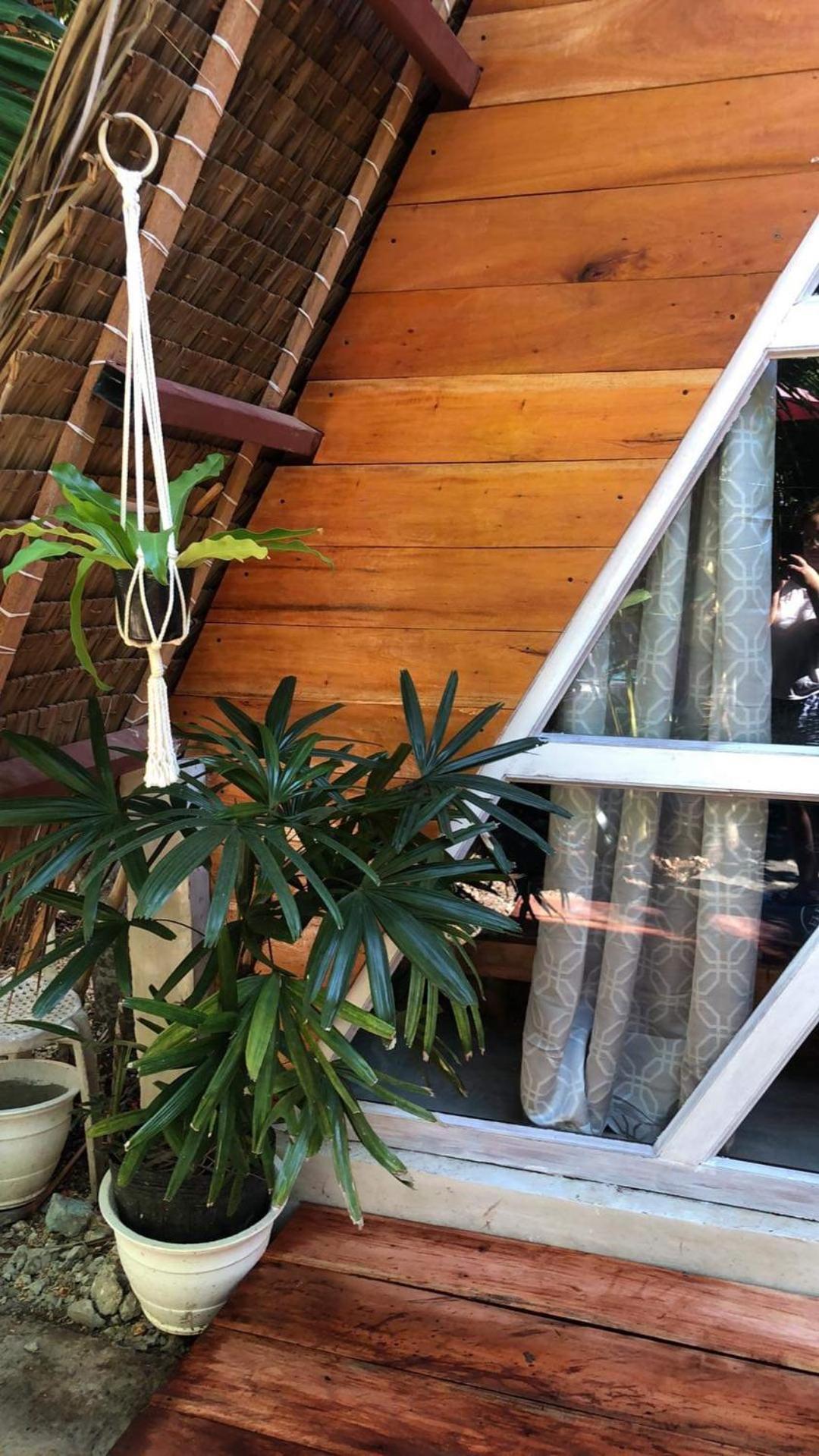 Bed & Breakfast Bohol Island