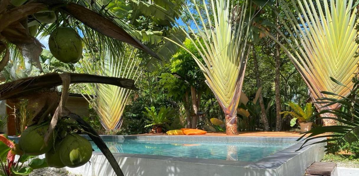Bohol Island Bed & Breakfast 2*