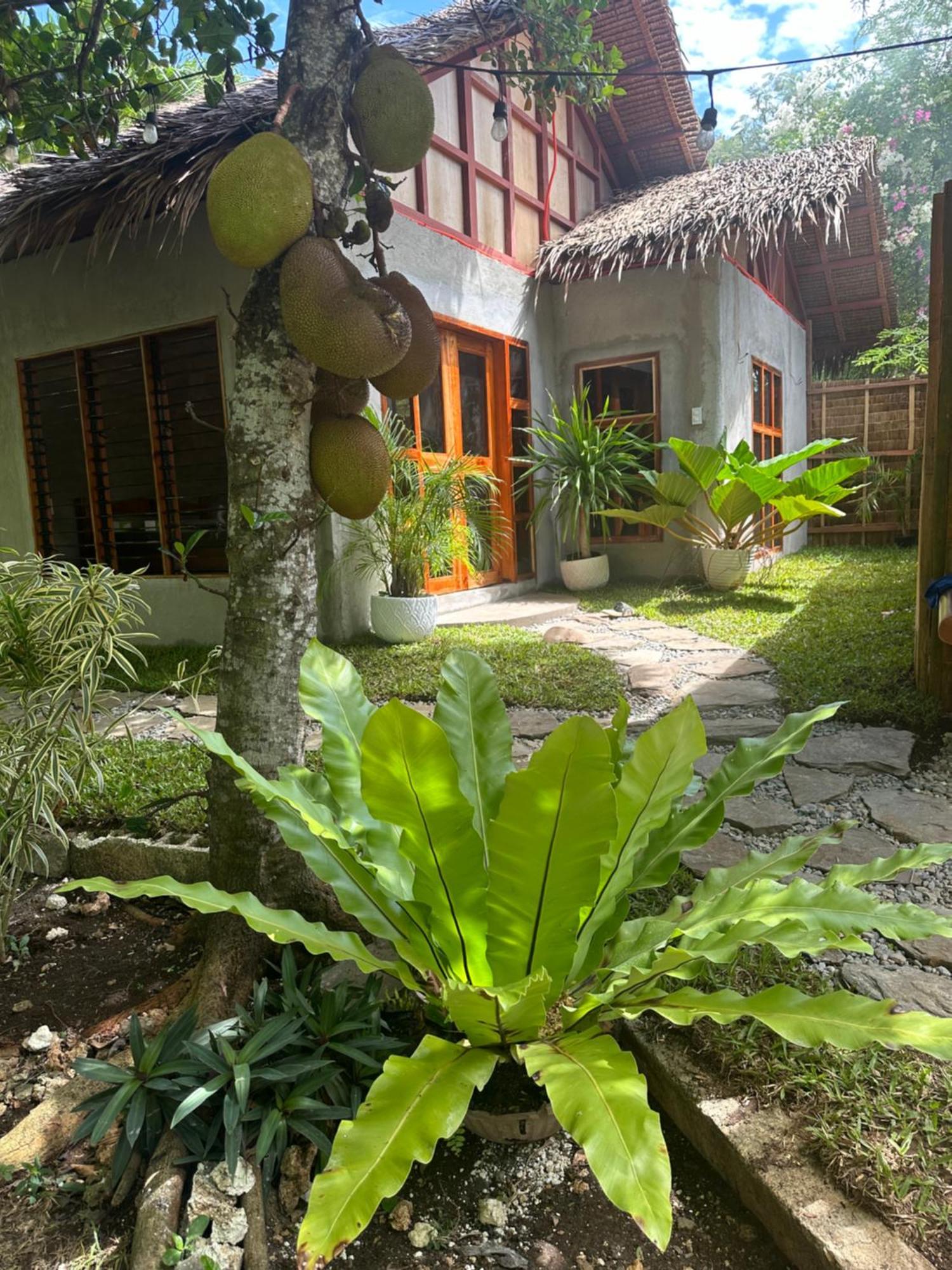 Bed & Breakfast Bohol Island